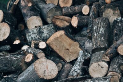 Stère de bois : volume réel selon la longueur des bûches, prix 2026 et pièges à la livraison
