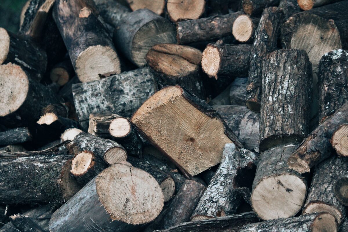 Stère de bois : volume réel selon la longueur des bûches, prix 2026 et pièges à la livraison